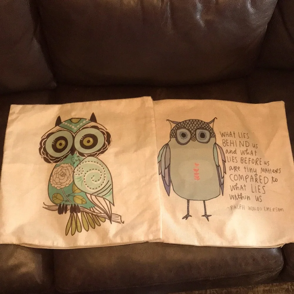 Set of 2 decorative pillow cases, new/never used